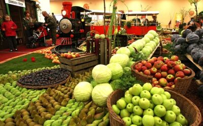 Epizoda 037 – Zahrada Čech