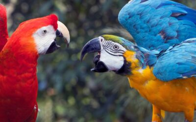 Epizoda 023 – Problémy