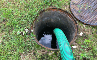 Epizoda 028 – Ulice v růžové zahradě